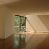 ampliar imagen